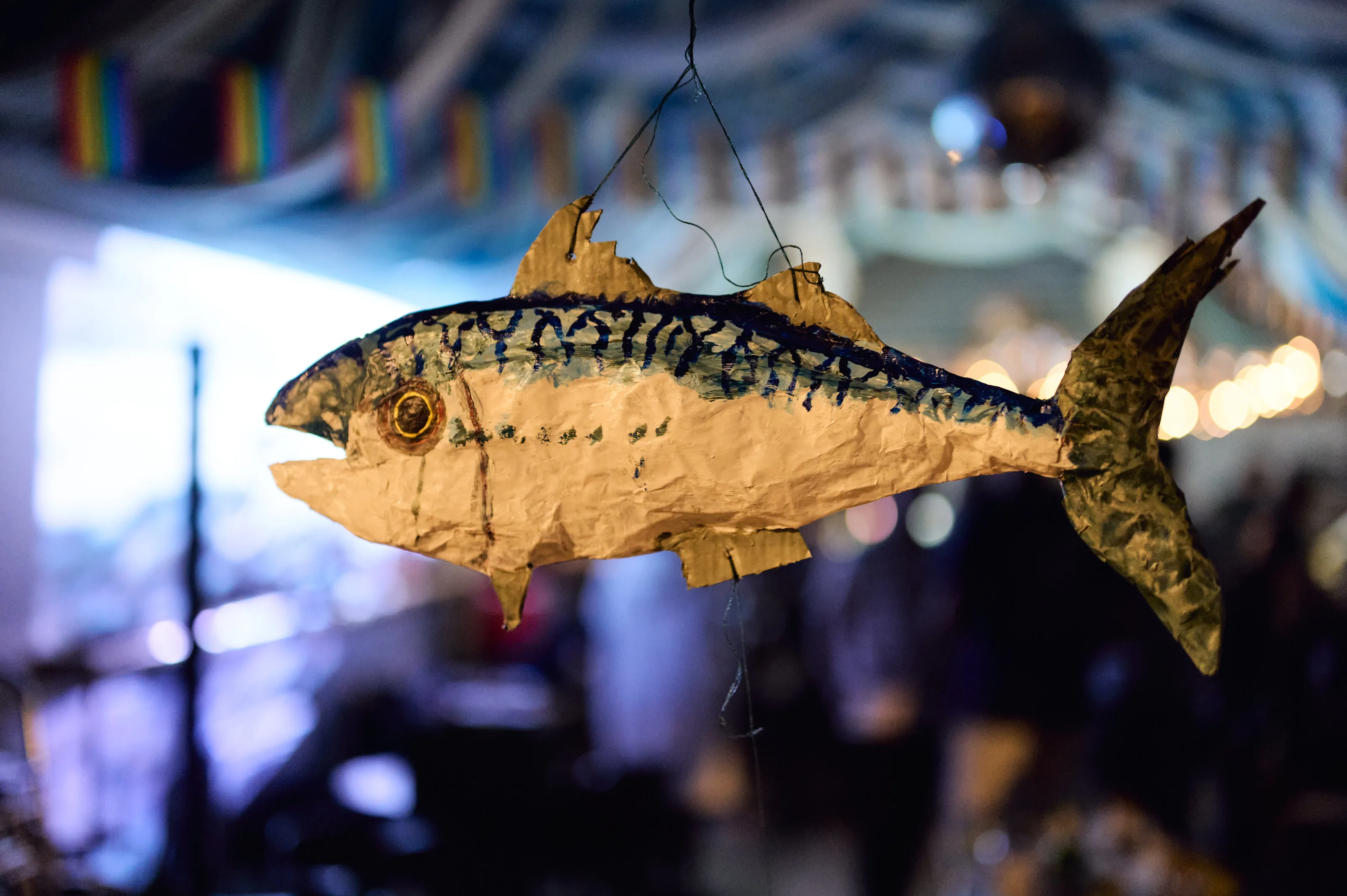 Mackerel Mayhem — the guest of honour
